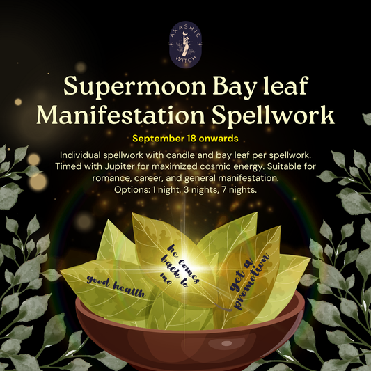 [Supermoon Eclipse] Bay Leaf Manifestation Spellwork