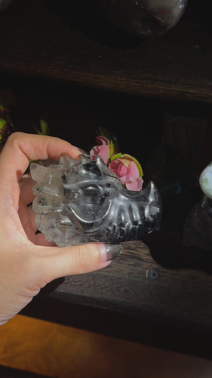 Black Rutilated Quartz in Dragon Head